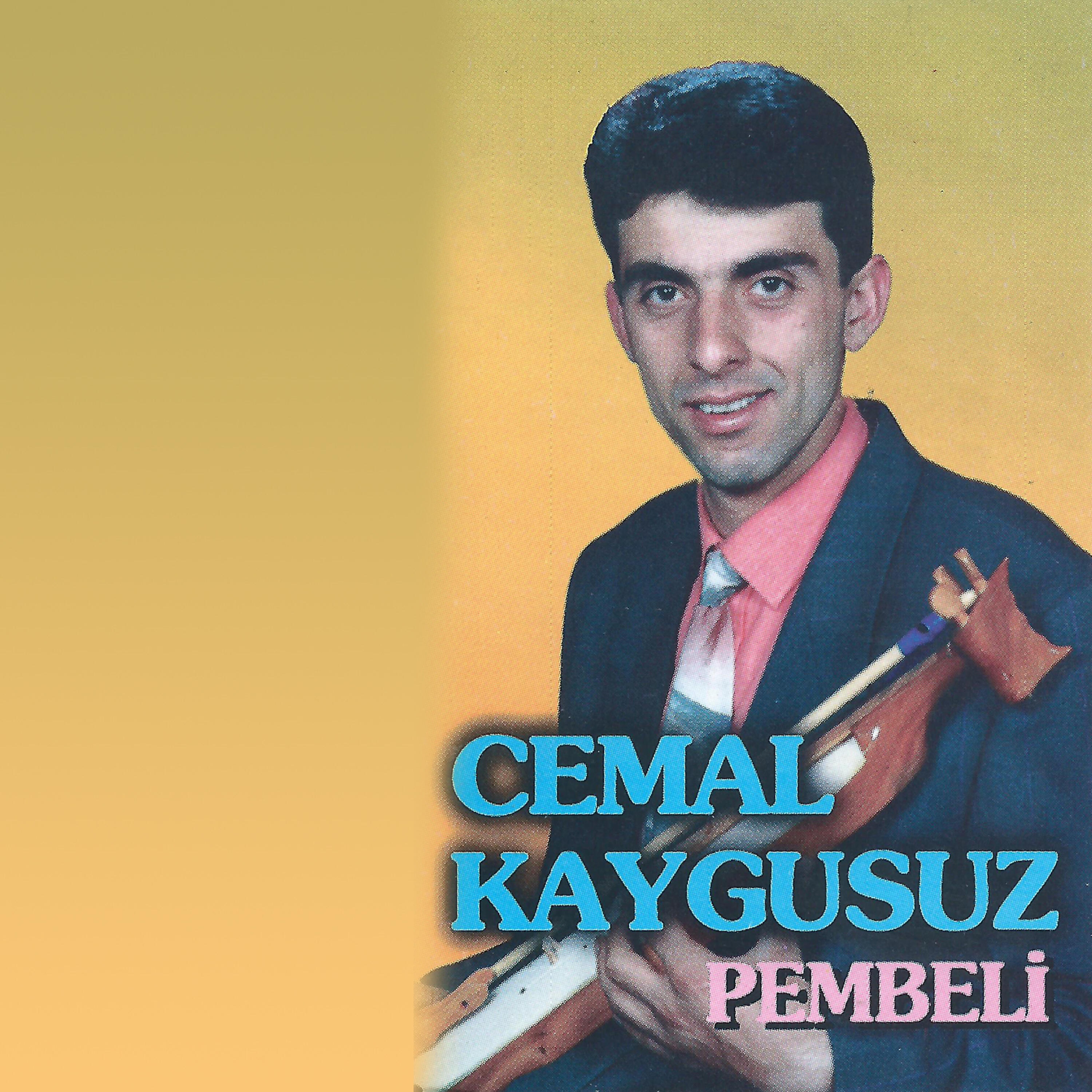 Релиз Pembeli