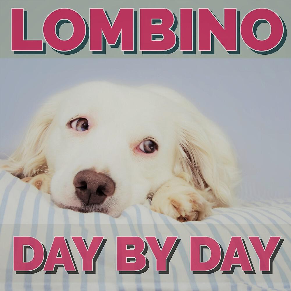 Релиз Day Bay Day