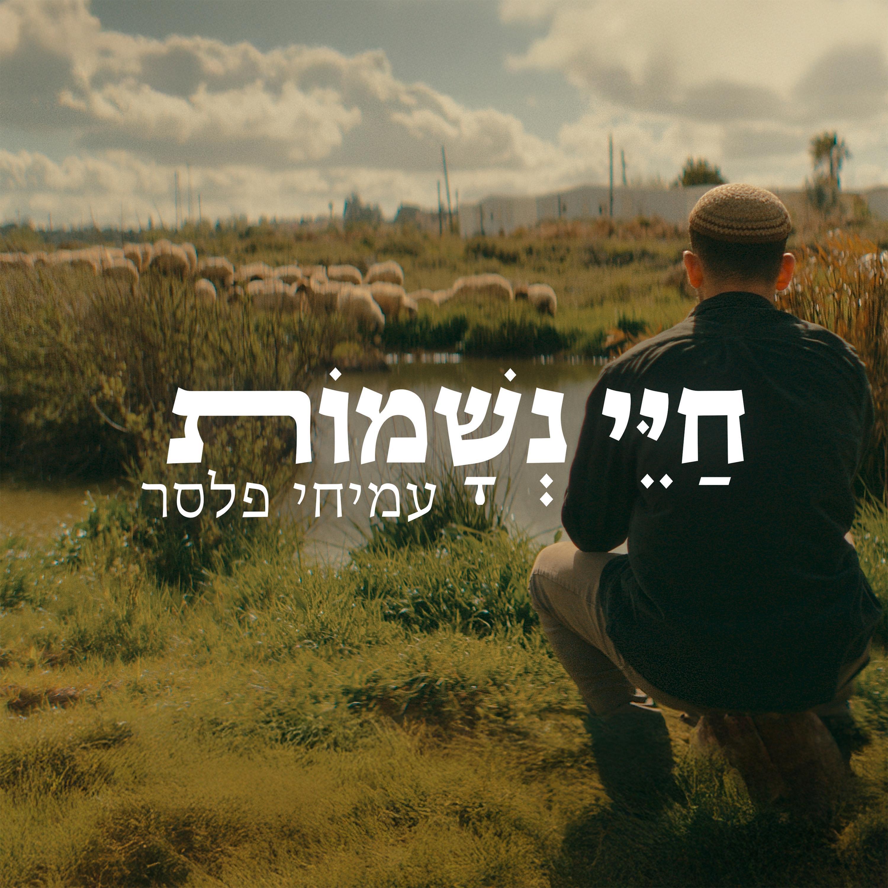 עמיחי פלסר