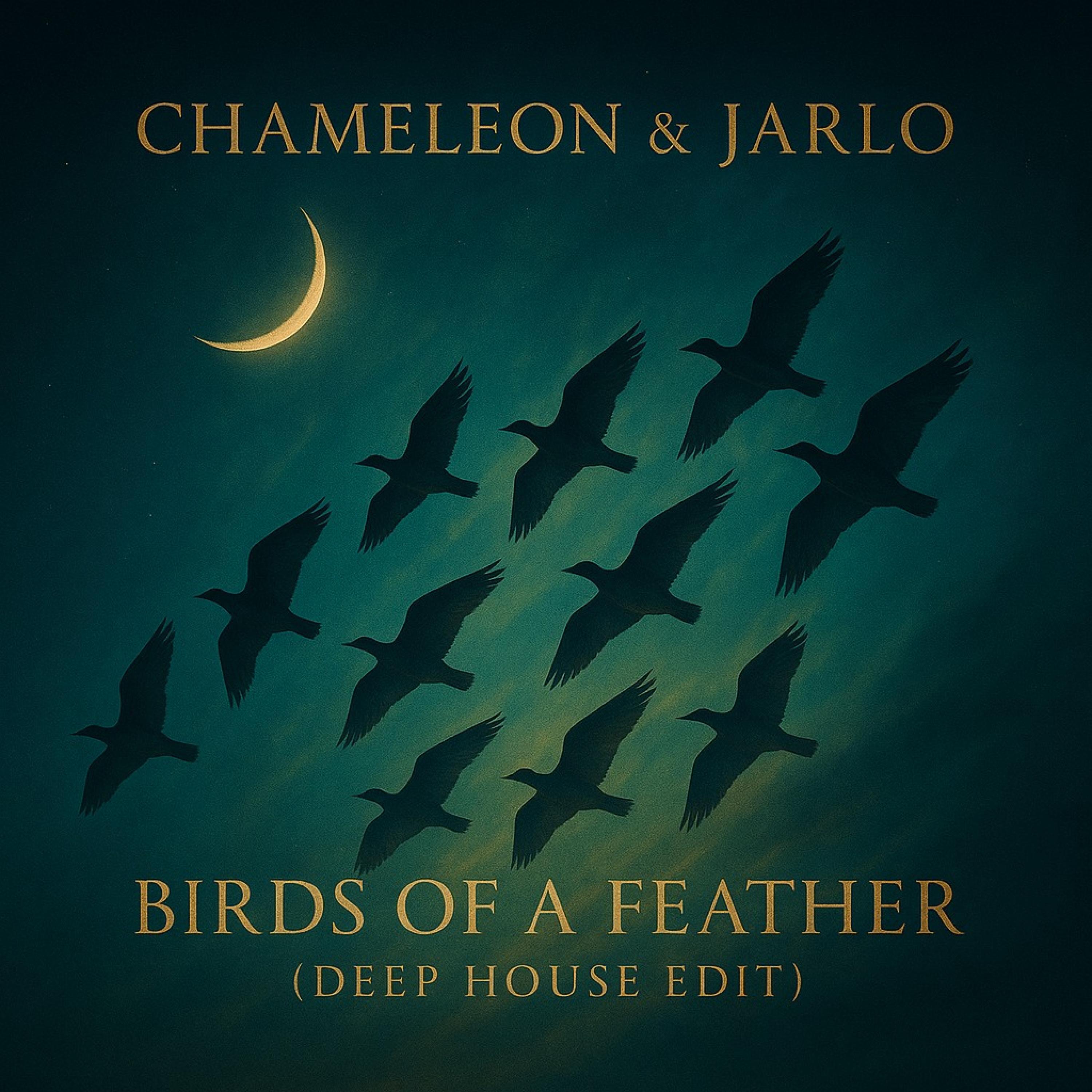 Релиз Birds Of A Feather (Deep House Edit)