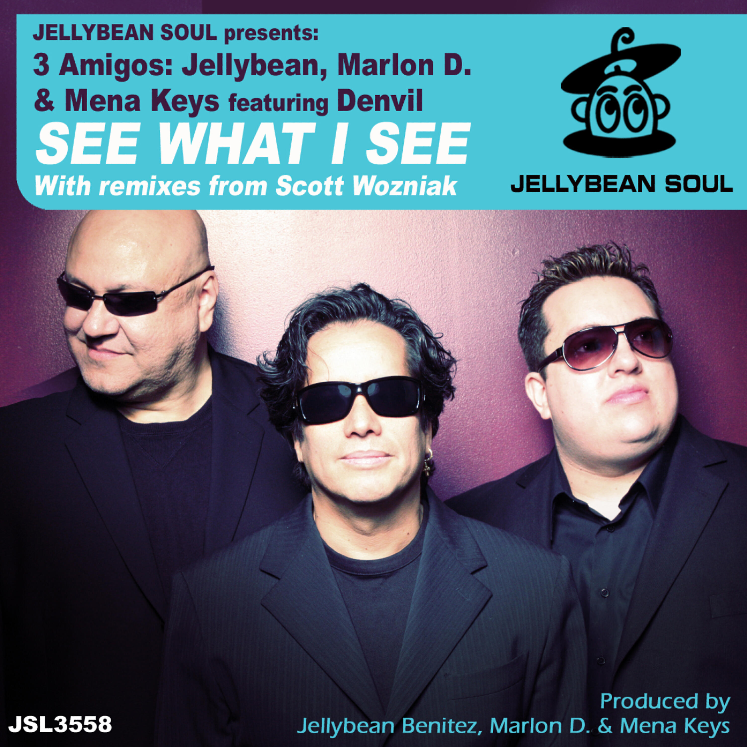 Релиз See What I See