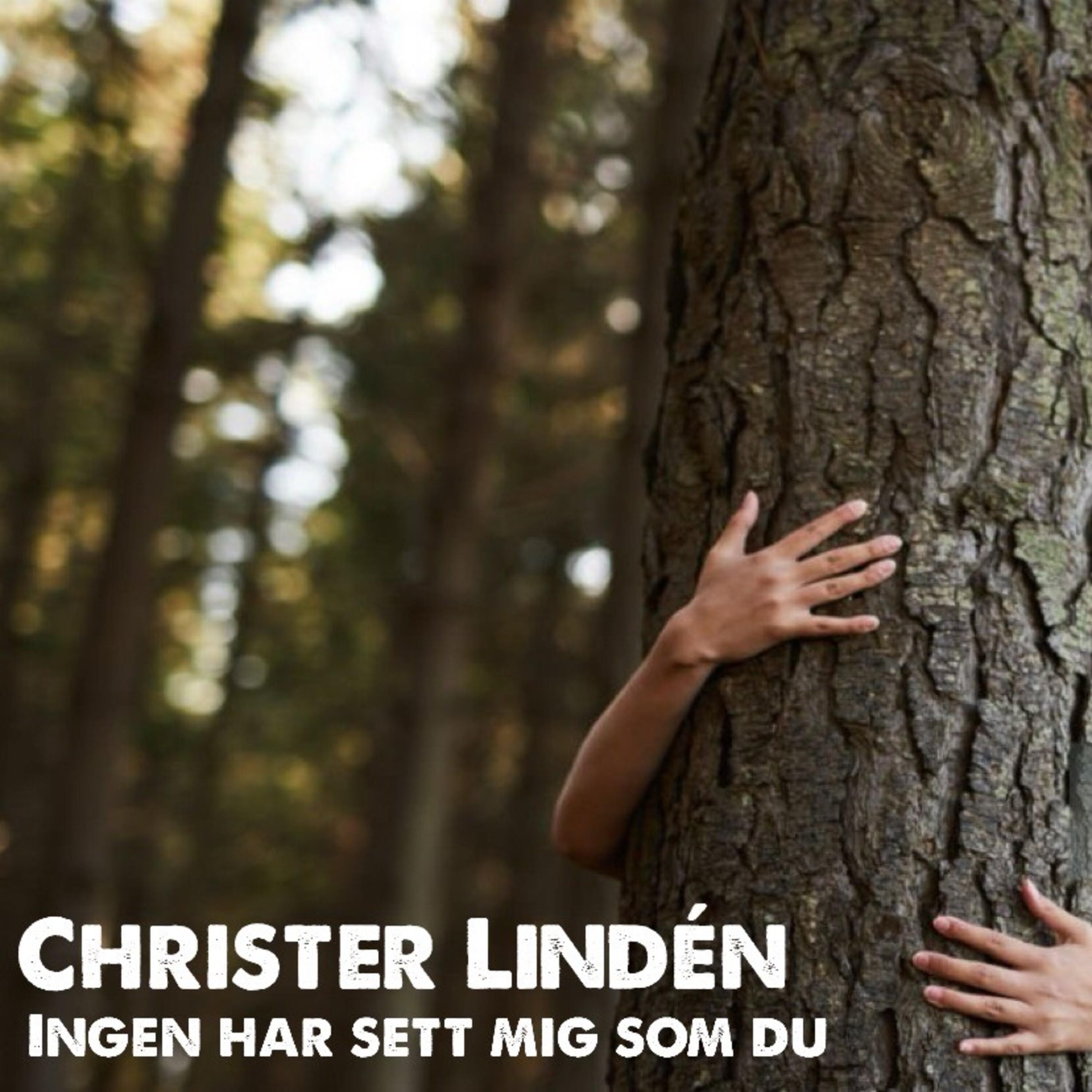 Релиз Ingen har sett mig som du