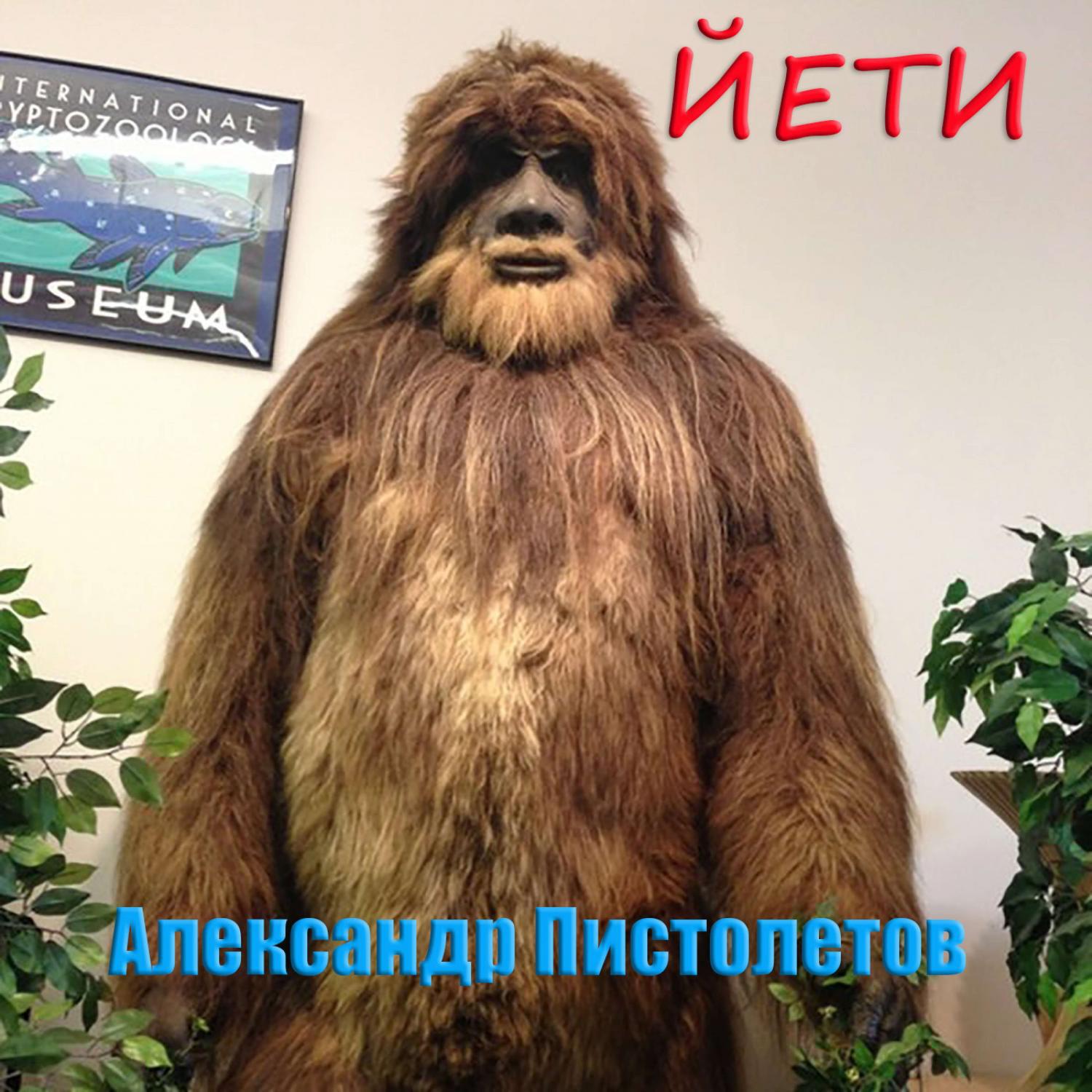 Релиз Йети