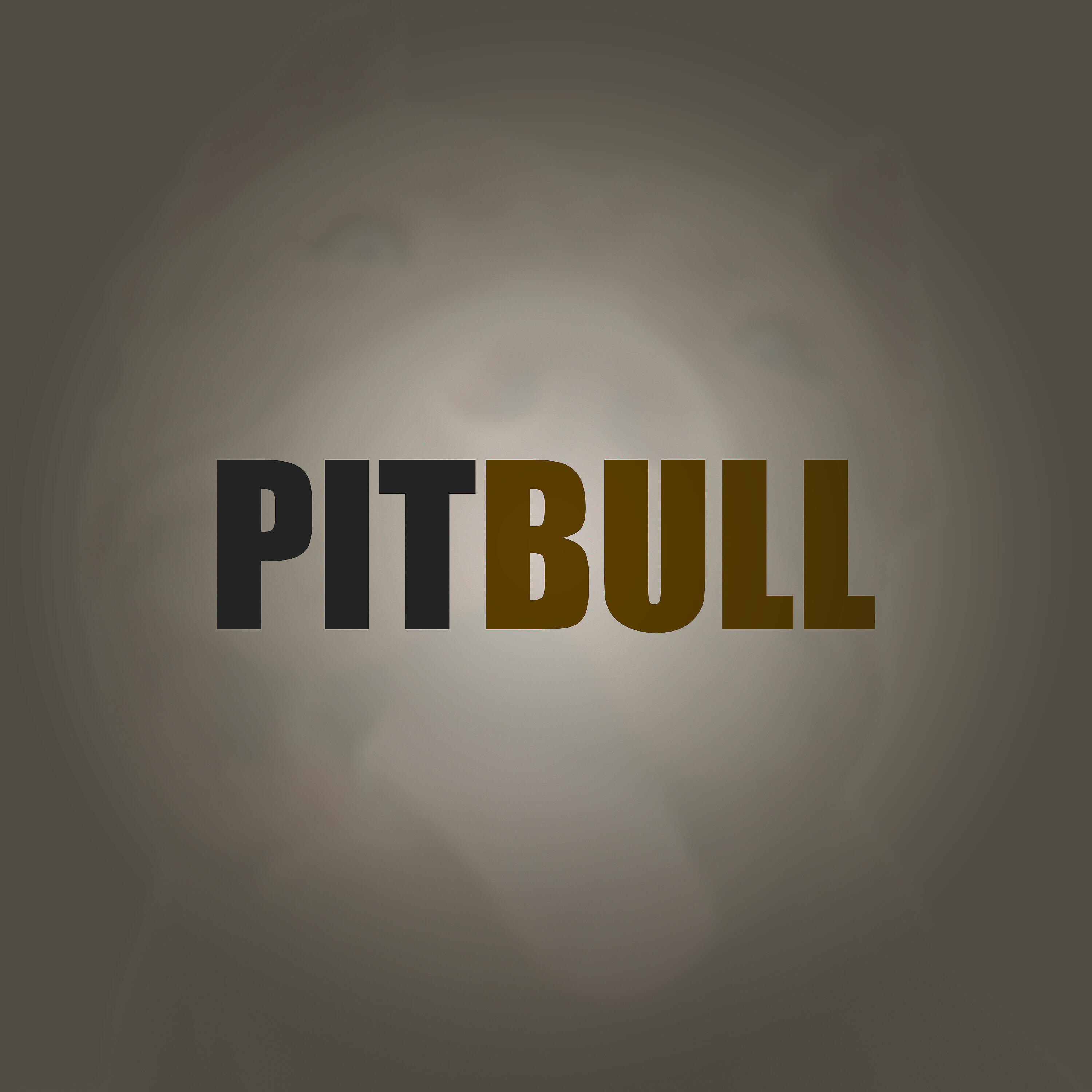 Релиз Pitbull