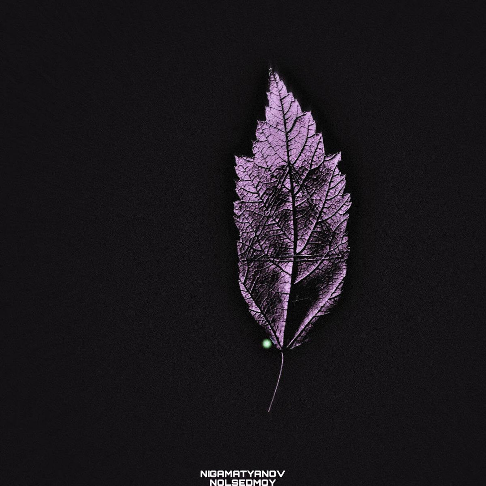Релиз Весенняя