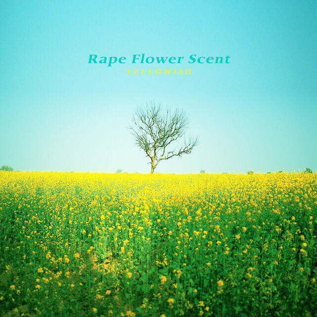 Релиз Rape Flower Scent
