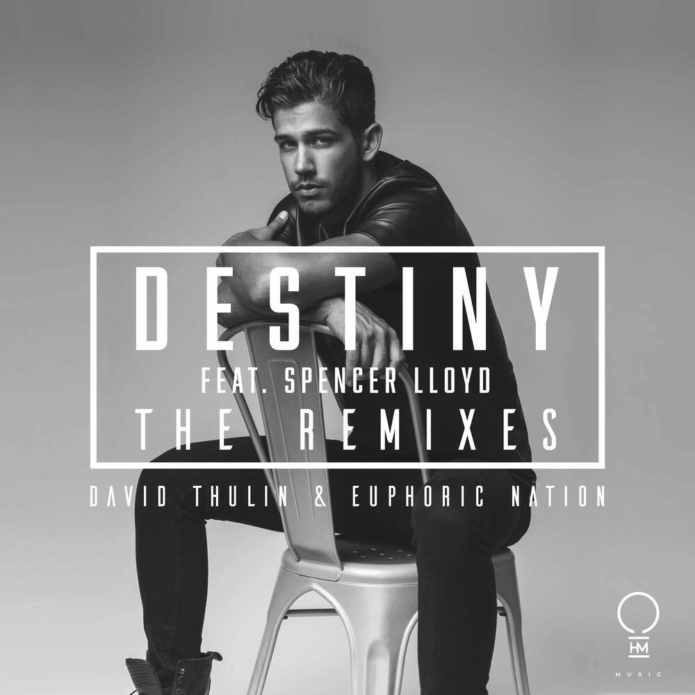 Релиз Destiny (The Remixes)