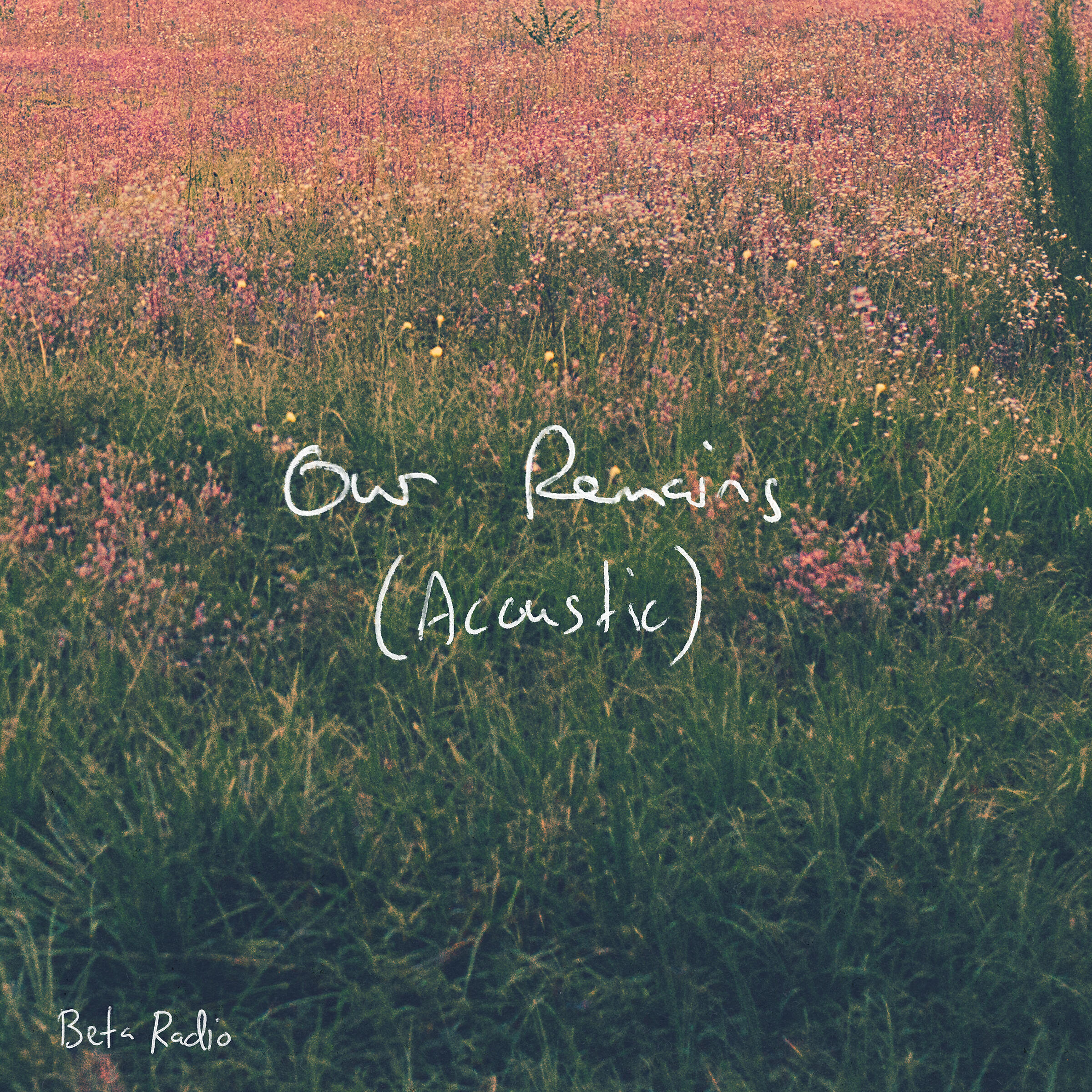 Релиз Our Remains (Acoustic)