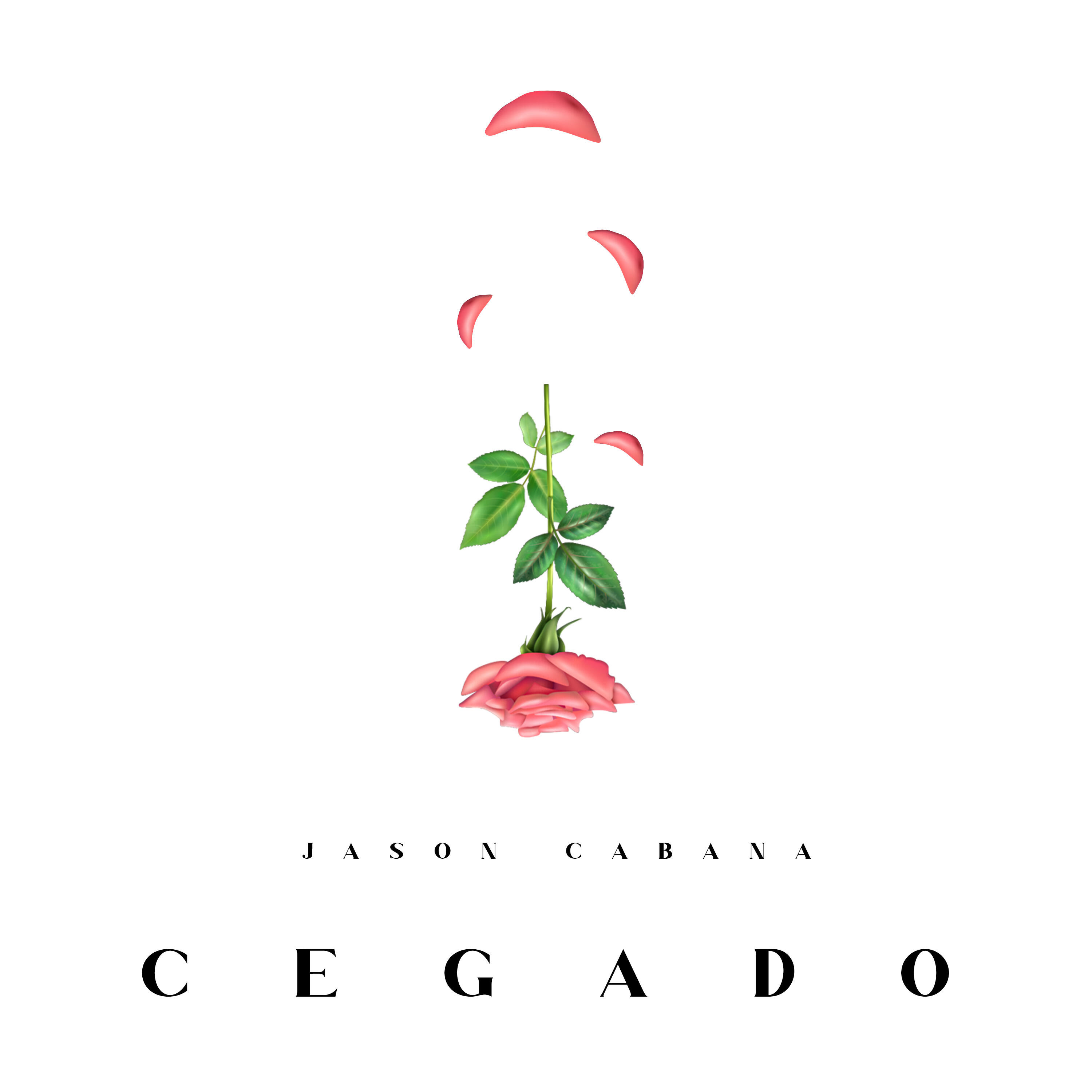 Релиз Cegado