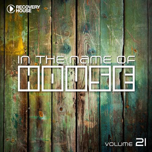 Релиз In the Name of House, Vol. 21