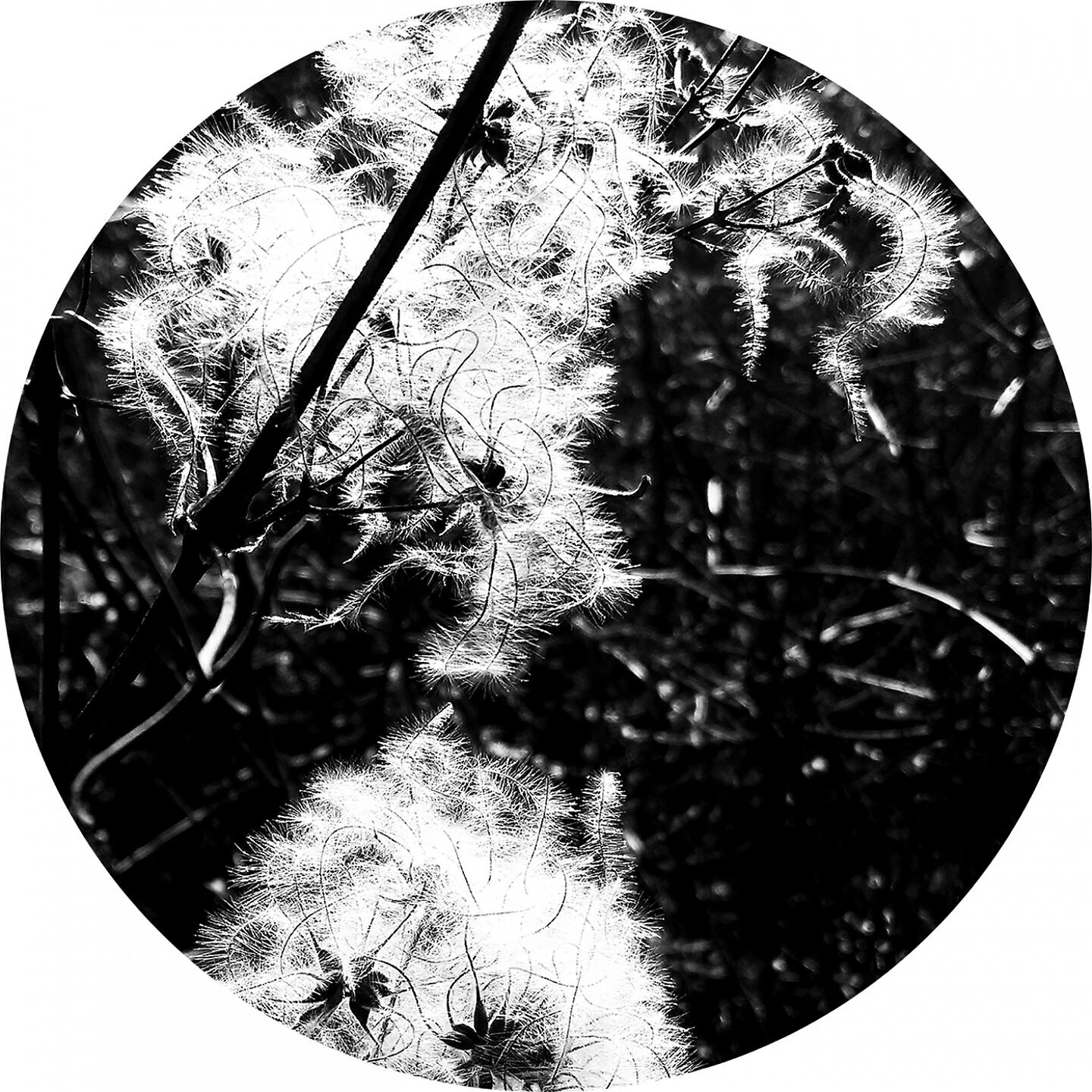 Релиз Irradiance Reworked