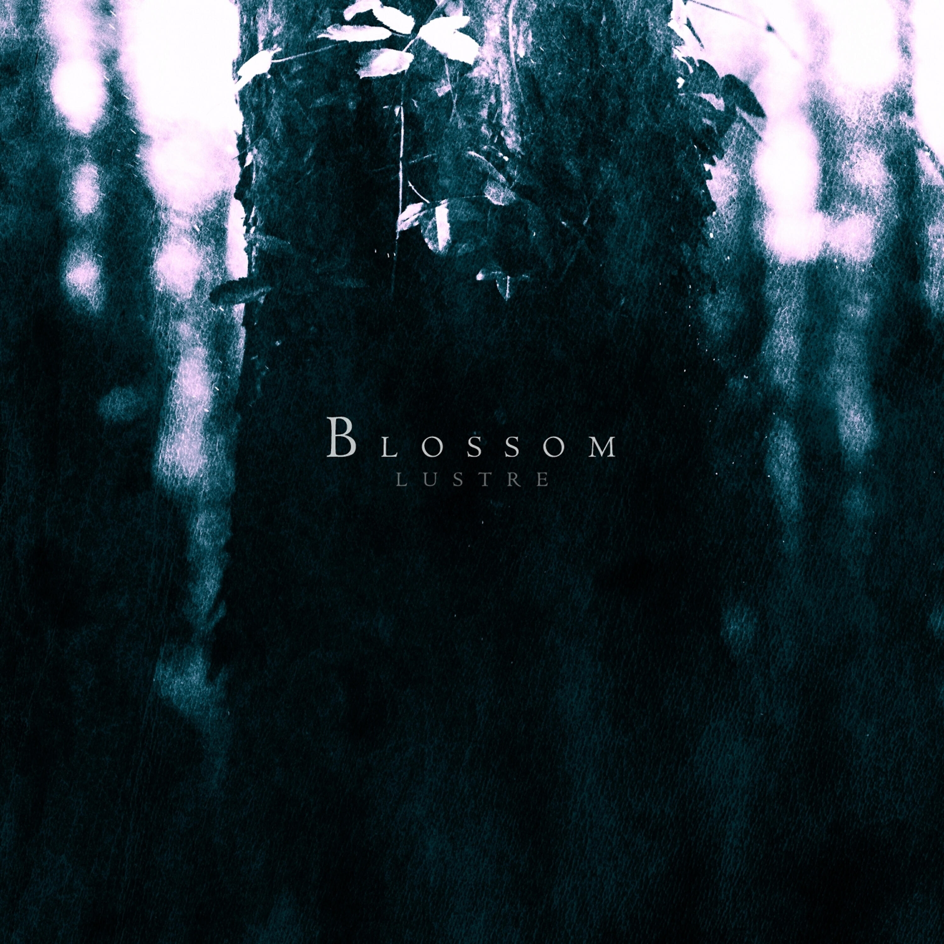 Релиз Blossom