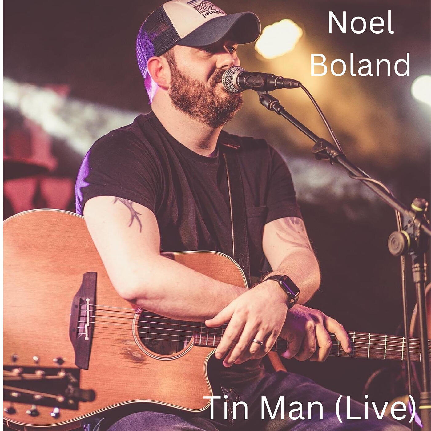 Постер альбома Tin Man (Live)