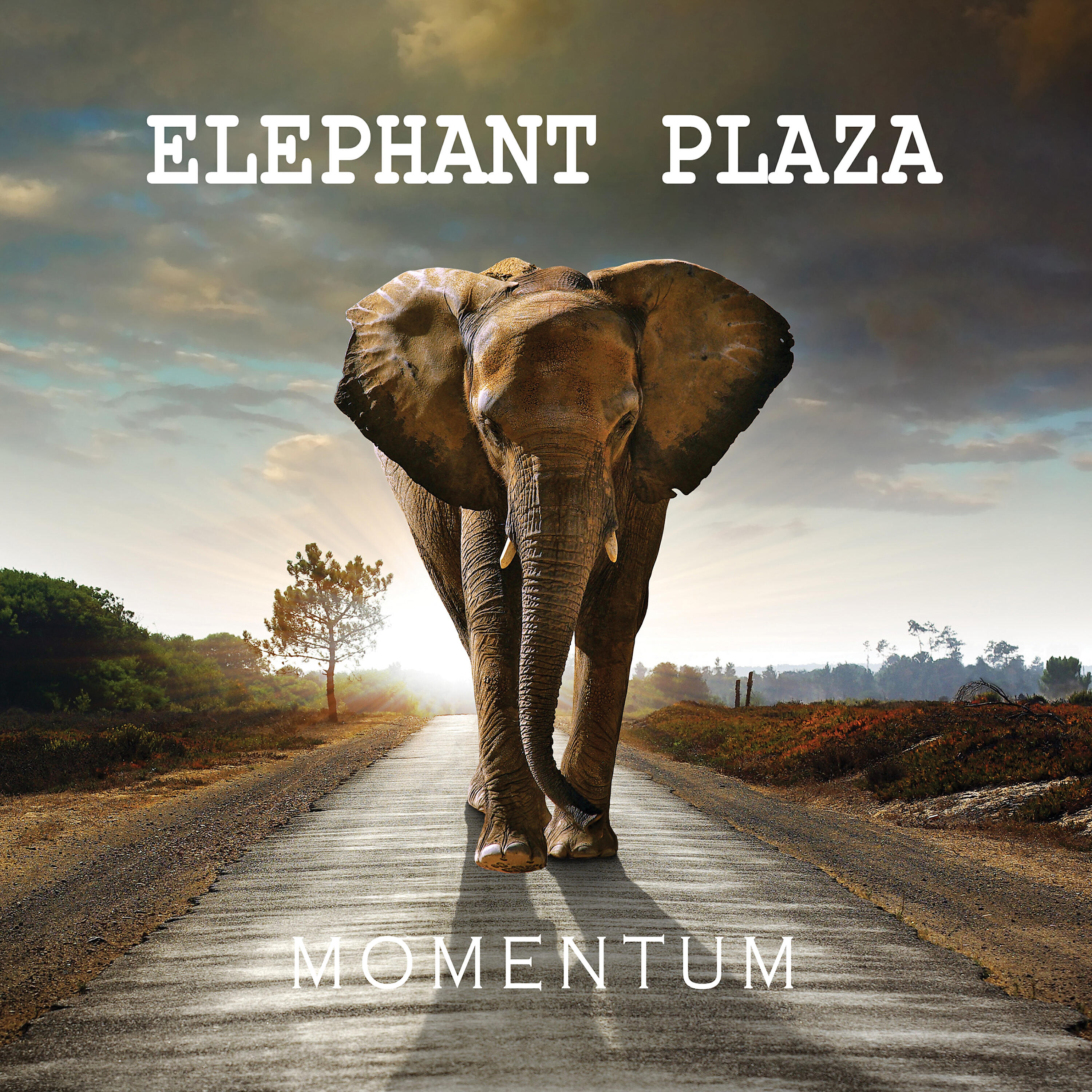 Постер альбома Momentum