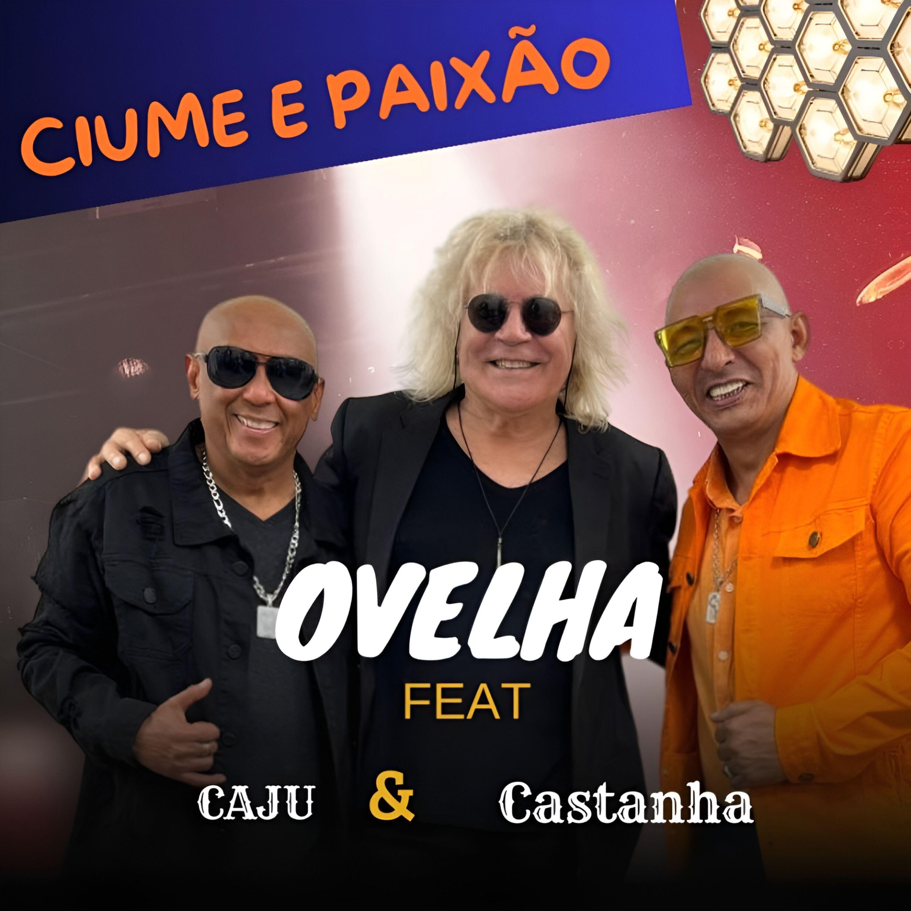 Постер альбома Ciume e Paixão