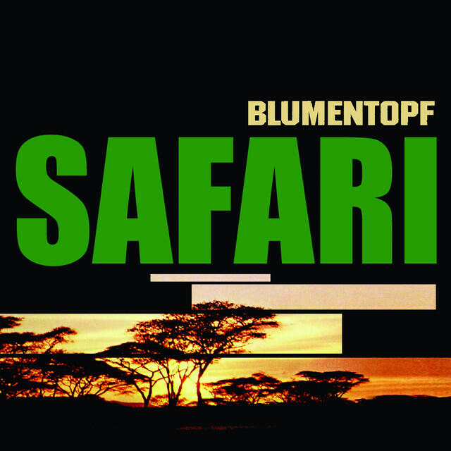 Релиз Safari