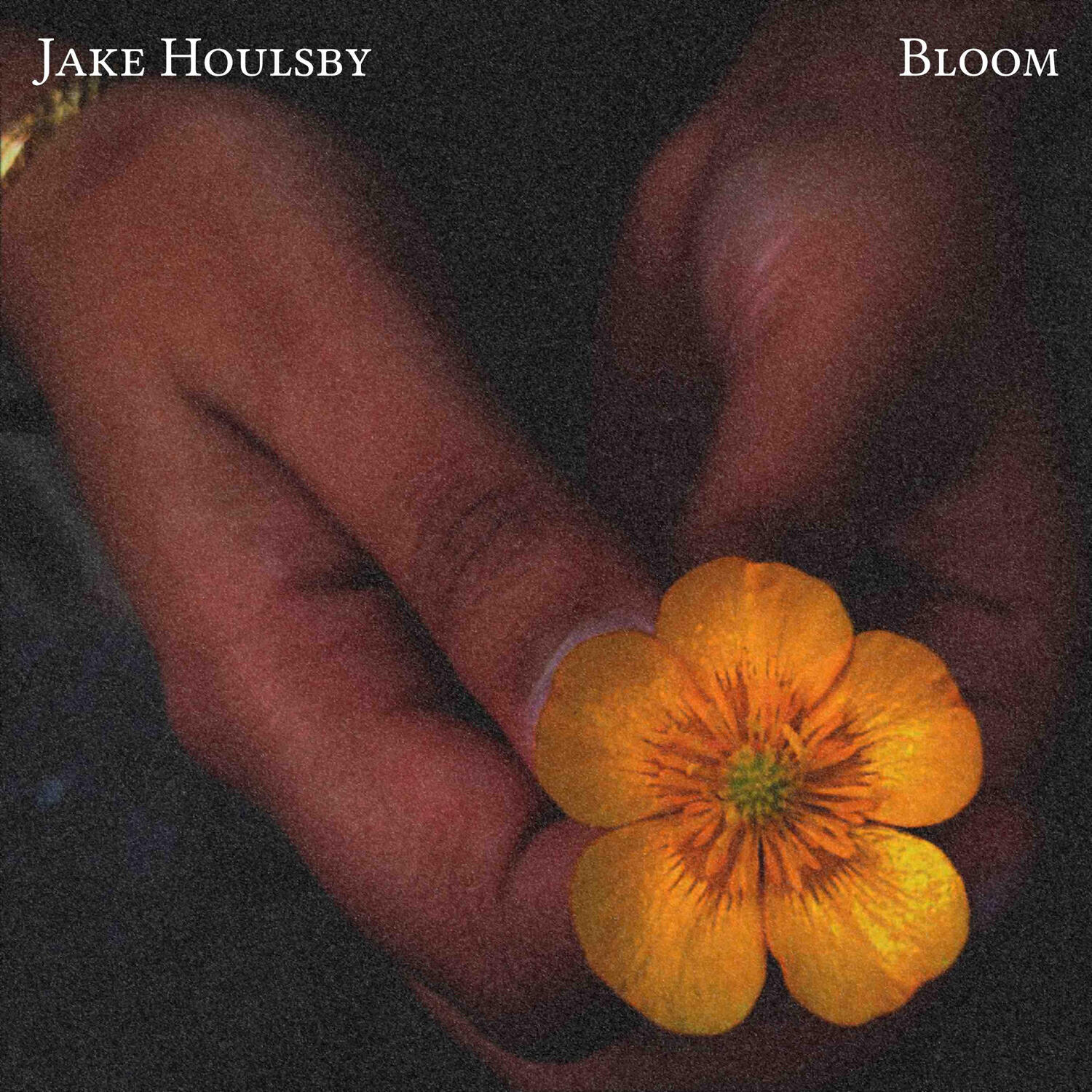 Релиз Bloom