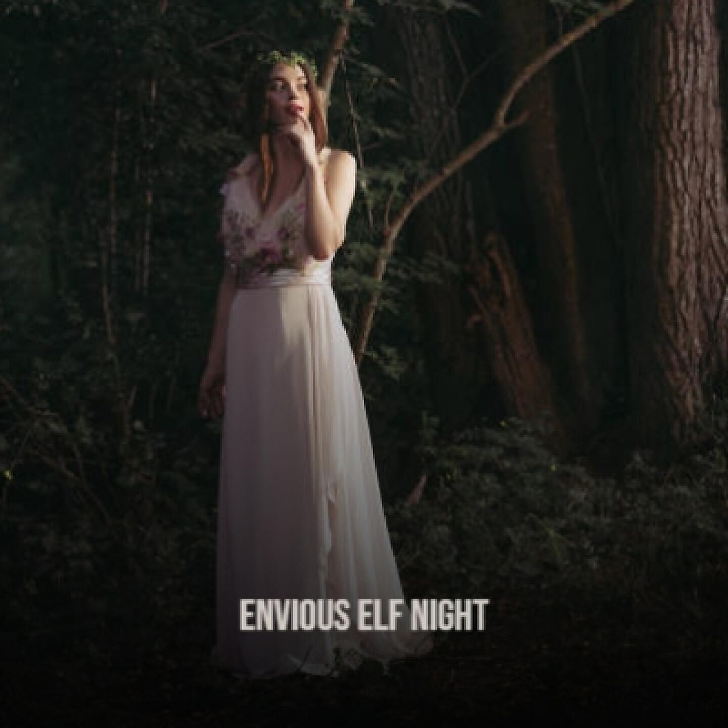 Релиз Envious Elf Night