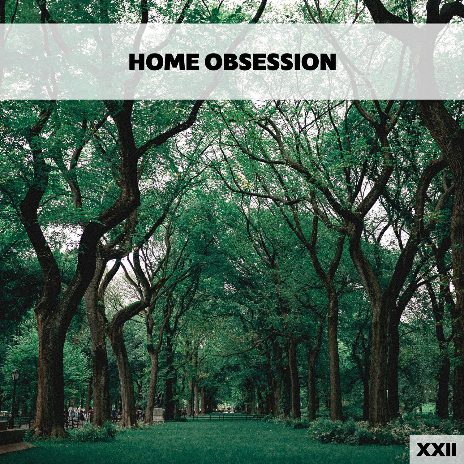 Релиз Home Obsession XXII