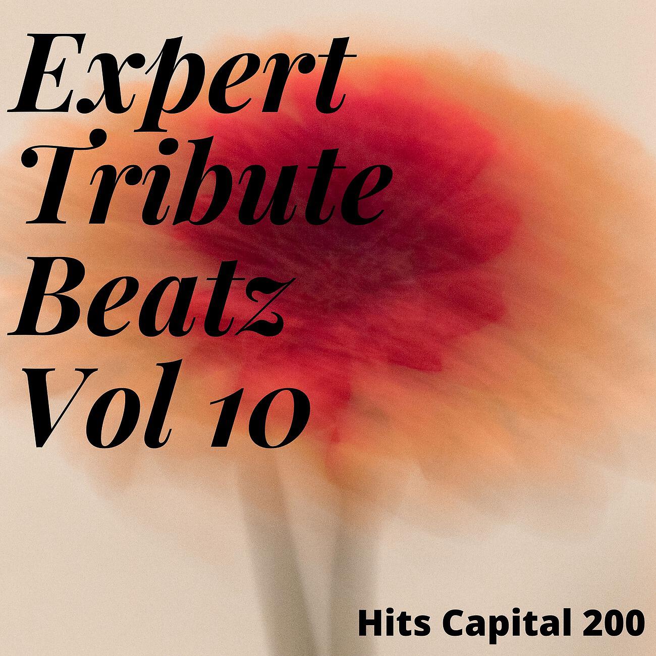 Релиз Expert Tribute Beatz Vol 10
