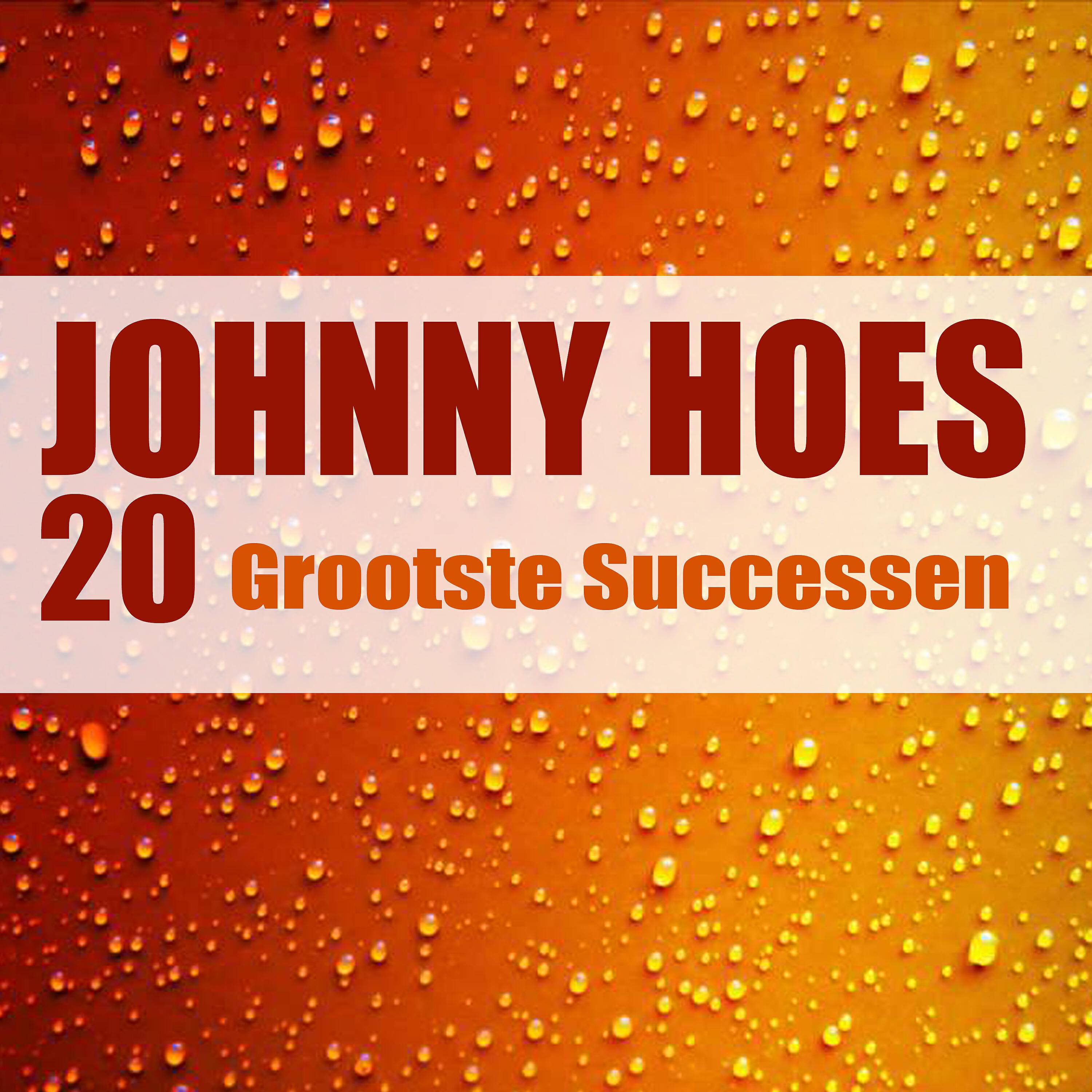 Релиз 20 Grooste Successen