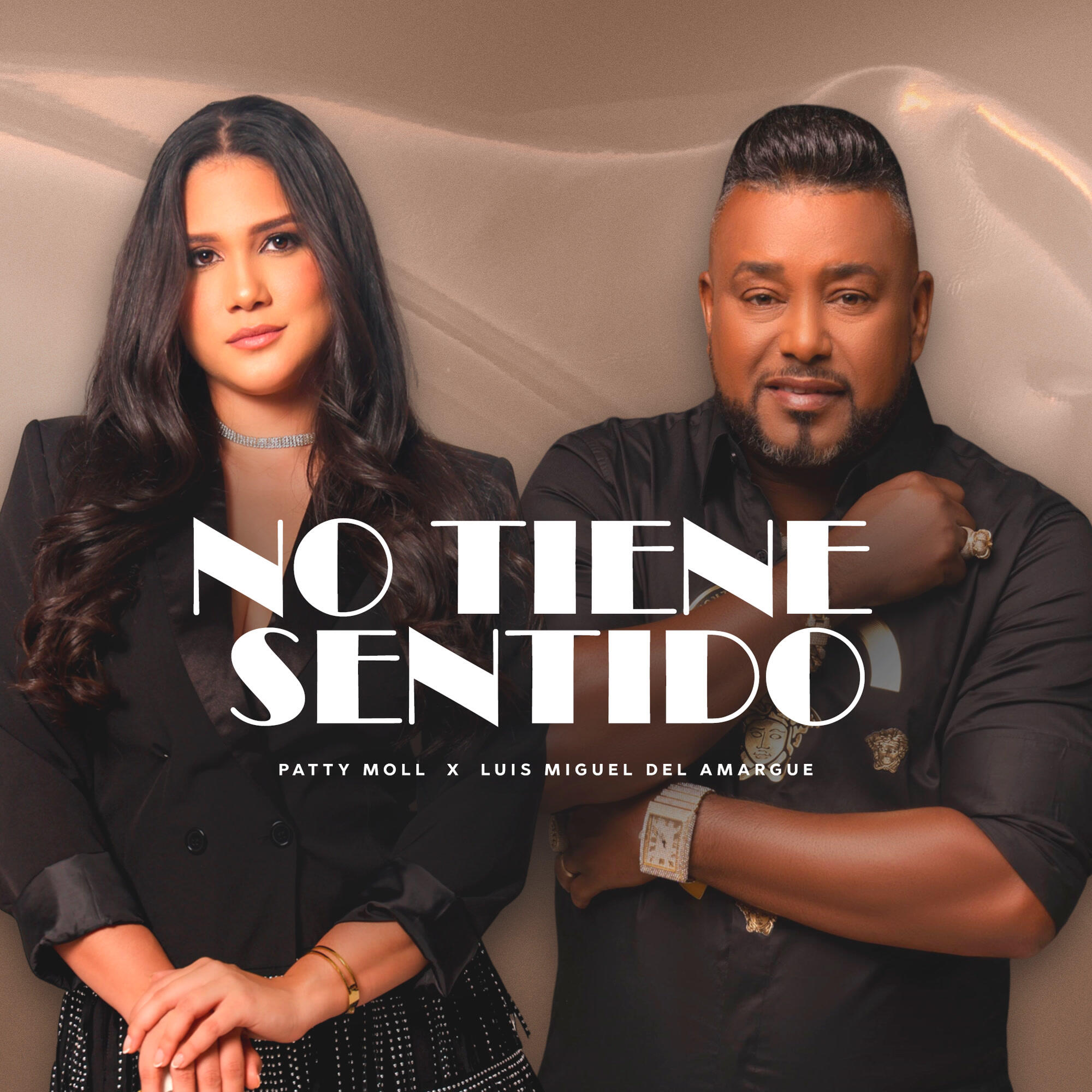 Релиз No Tiene Sentido