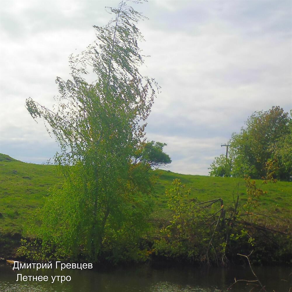 Релиз Летнее утро