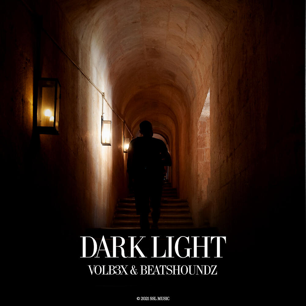 Постер альбома Dark Light