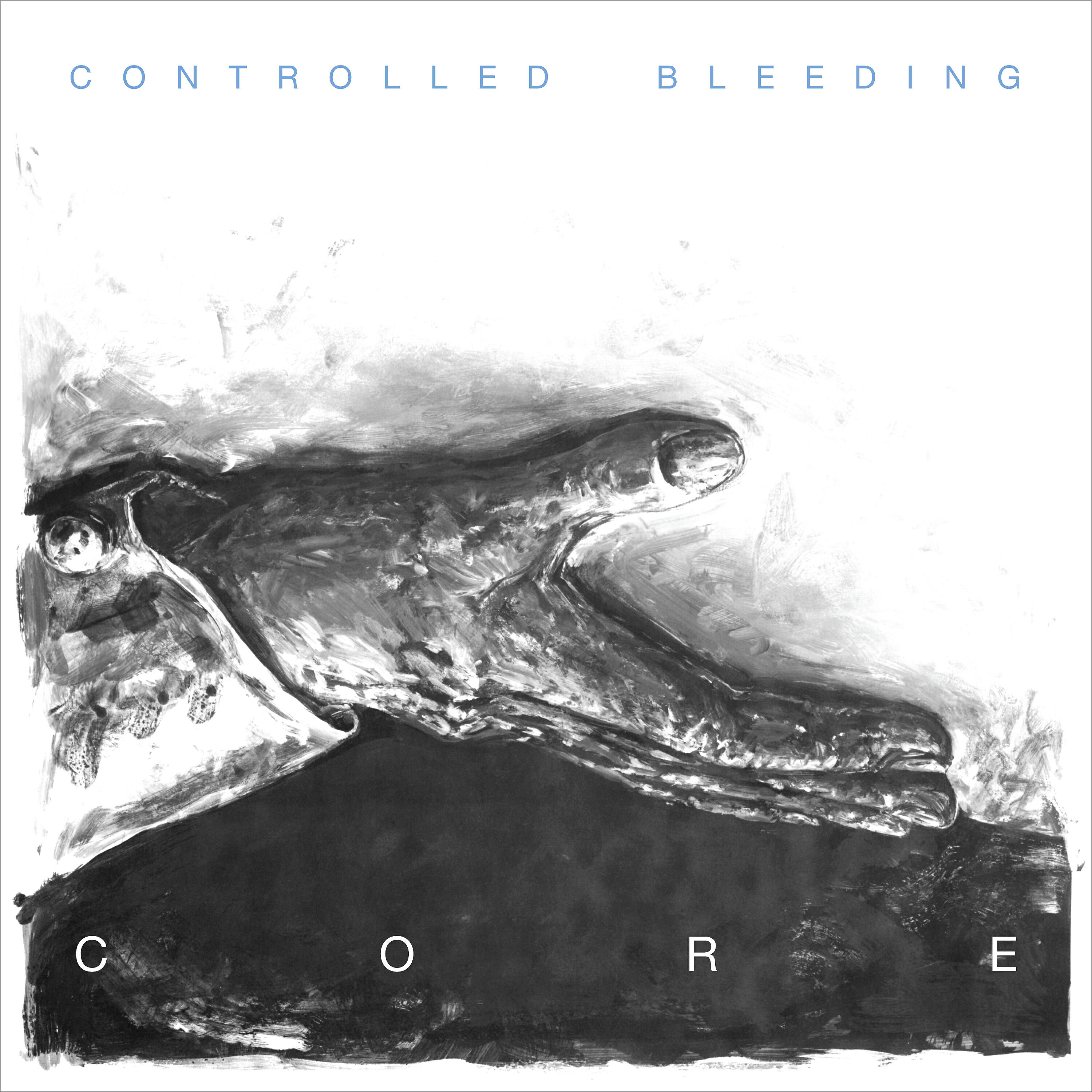 Релиз Core