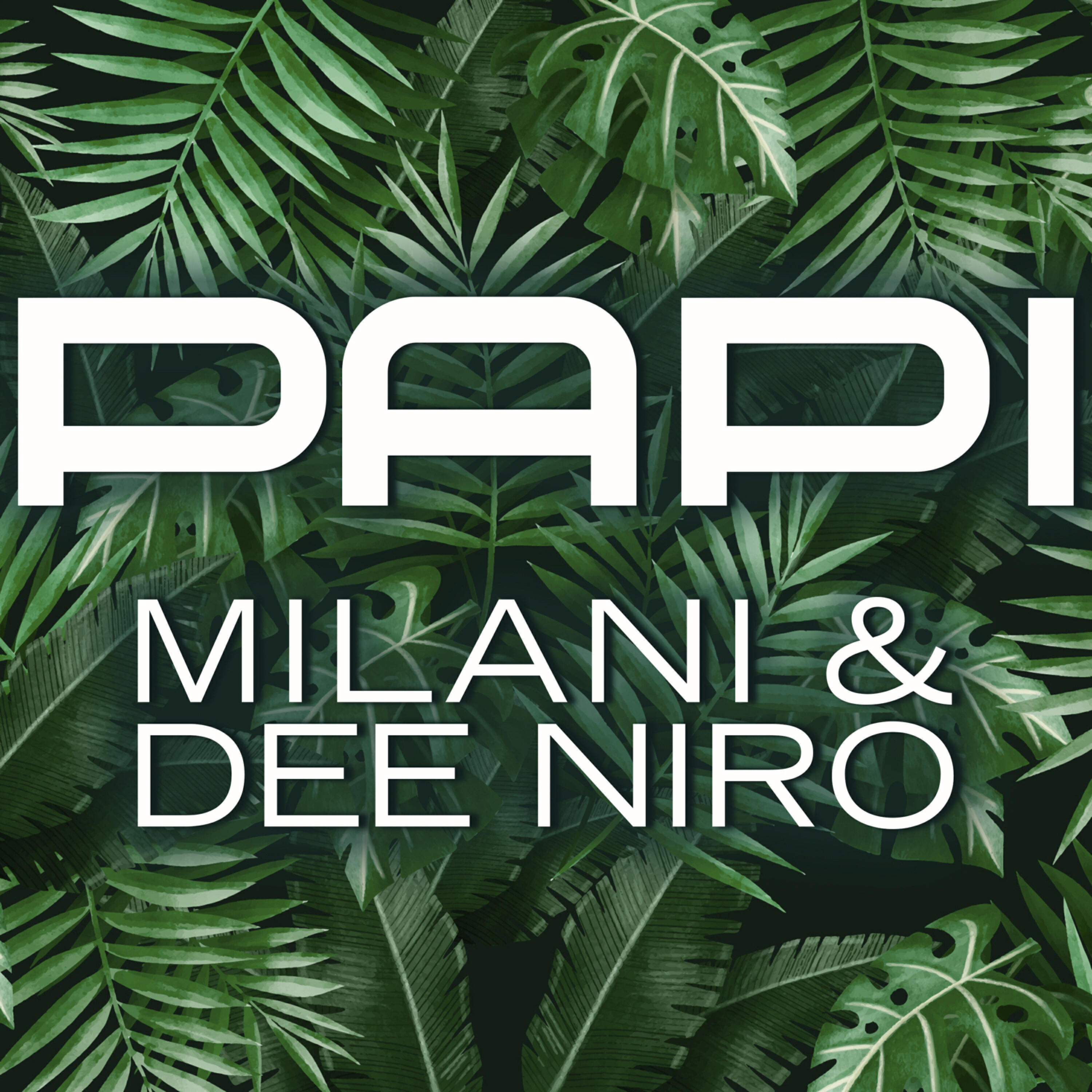 Релиз PAPI