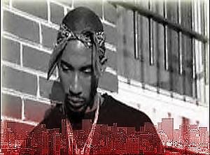 Lee Majorz