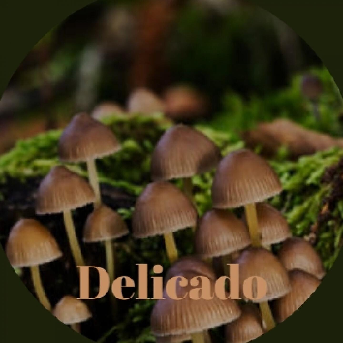 Релиз Delicado