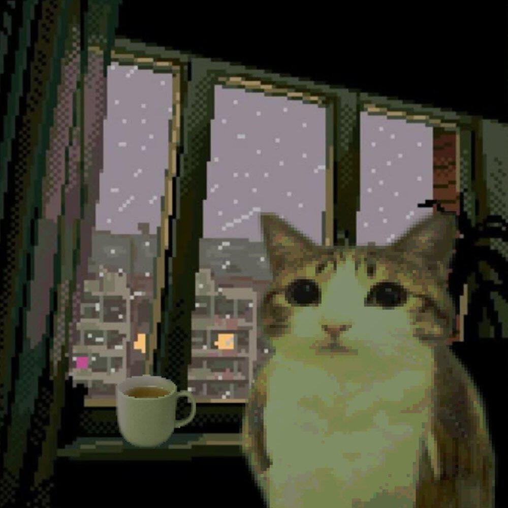 m5rcel