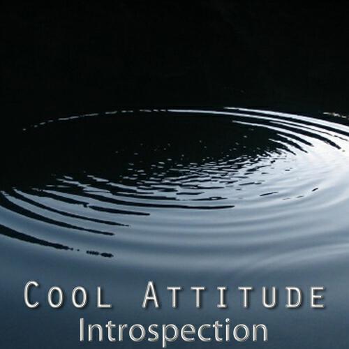 Релиз Cool Attitude: Introspection