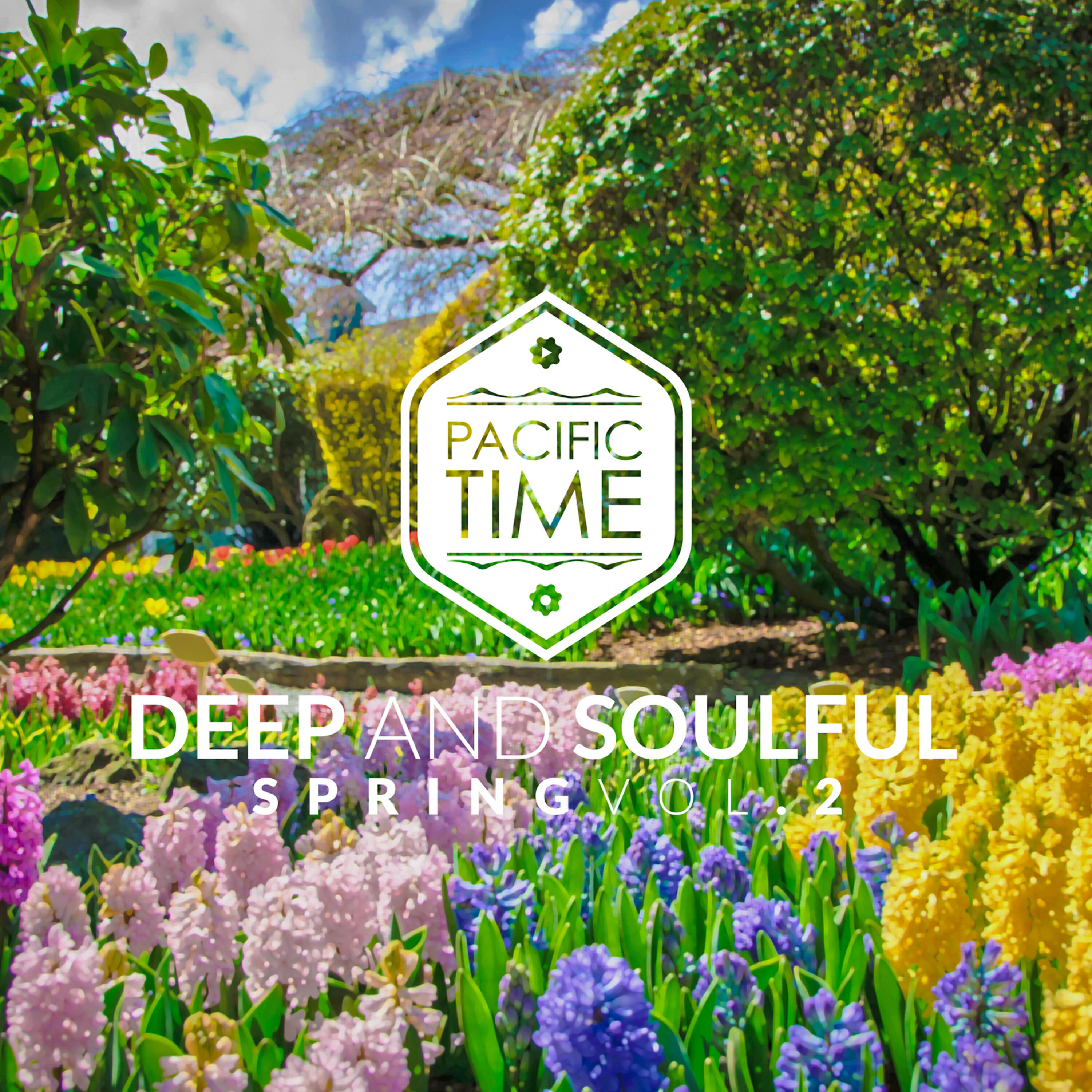 Релиз Deep and Soulful Spring Vol.2