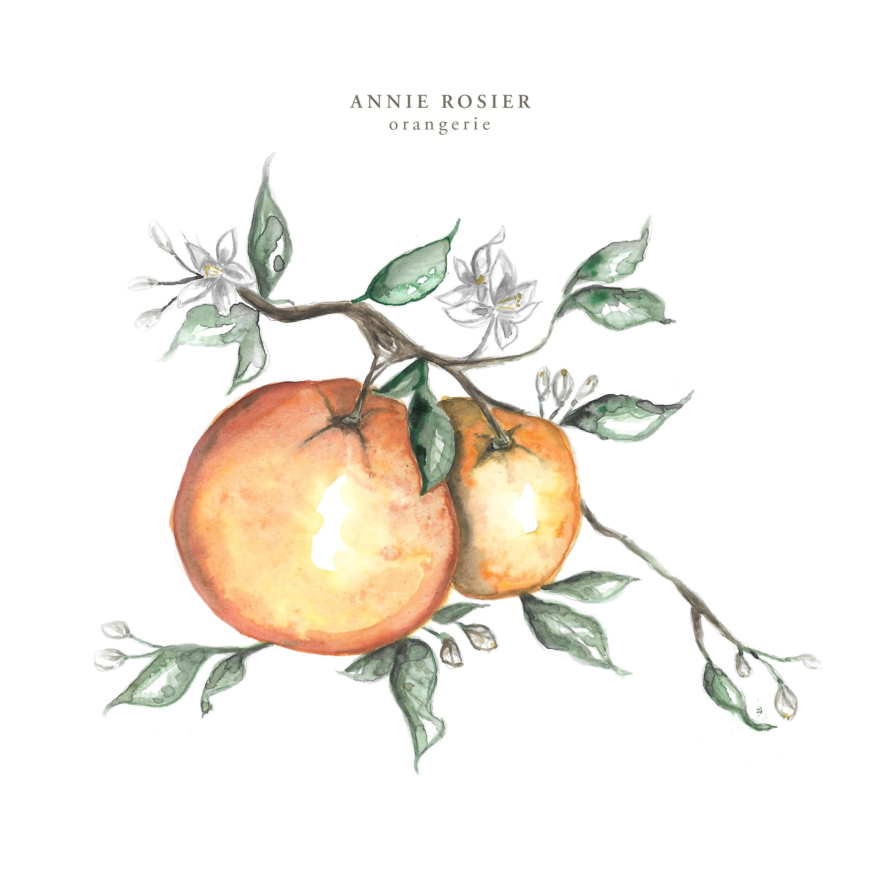 Релиз orangerie