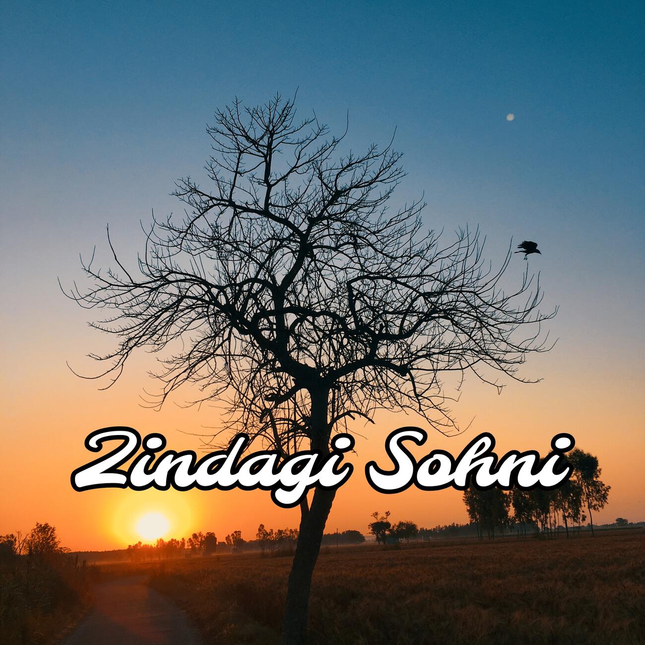 Релиз Zindagi Sohni