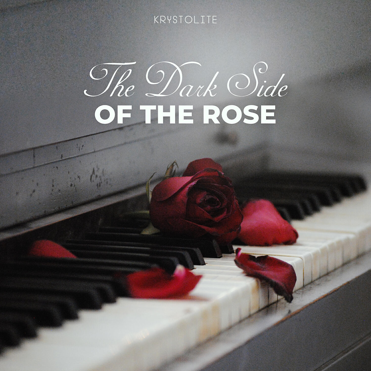 Релиз The Dark Side of the Rose