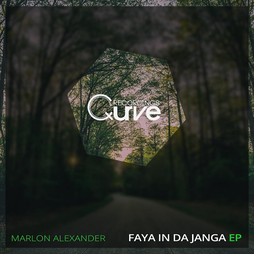 Релиз Faya In Da Janga
