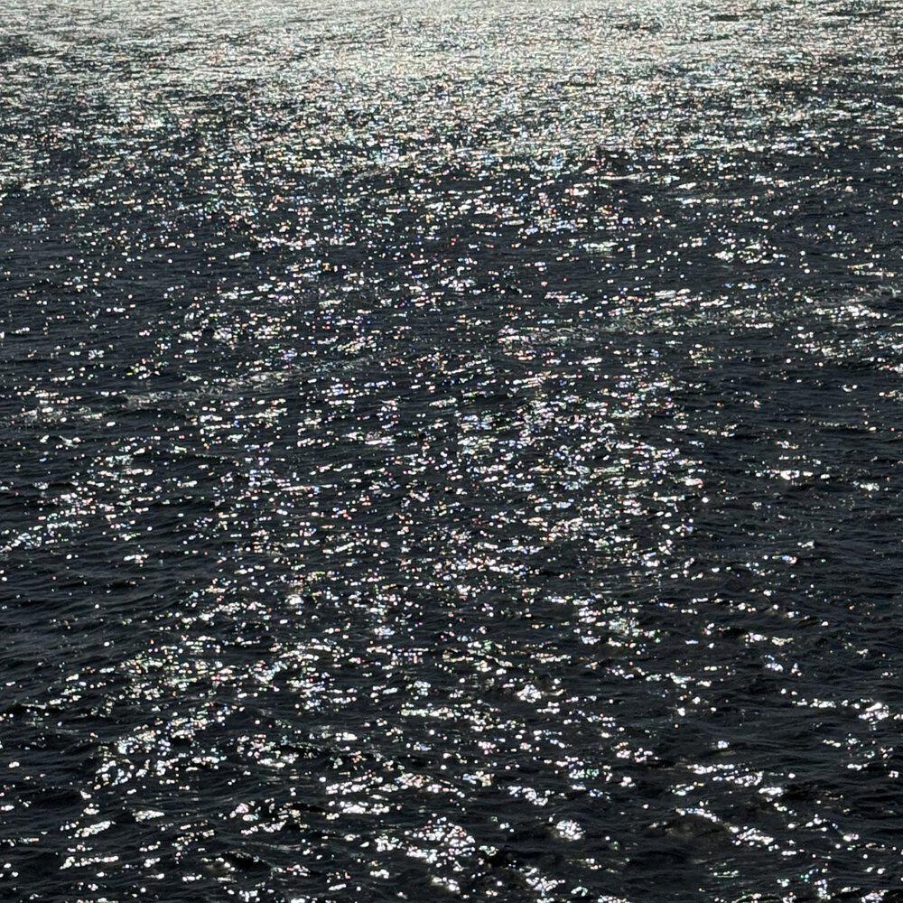 Релиз The oblong pool shimmering silently in a mild diffusion of light from the nighttime sky