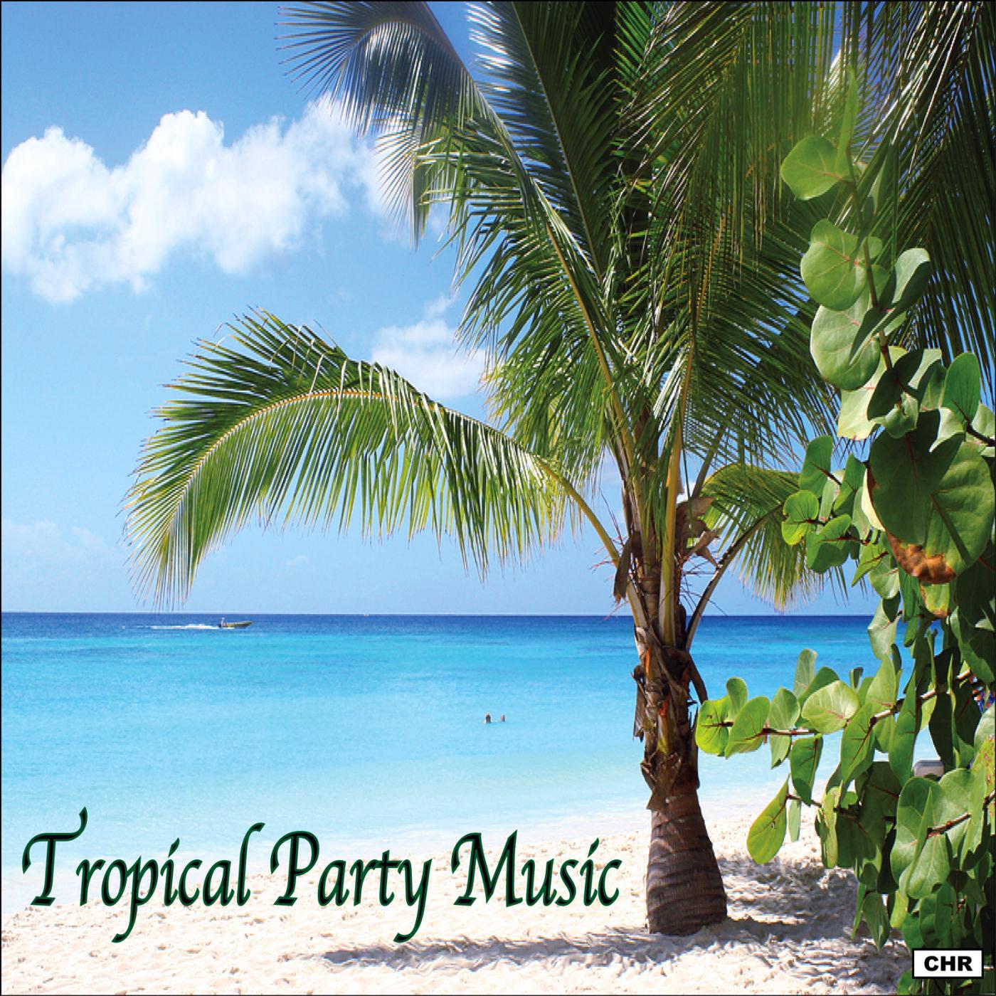 Релиз Tropical Party Music