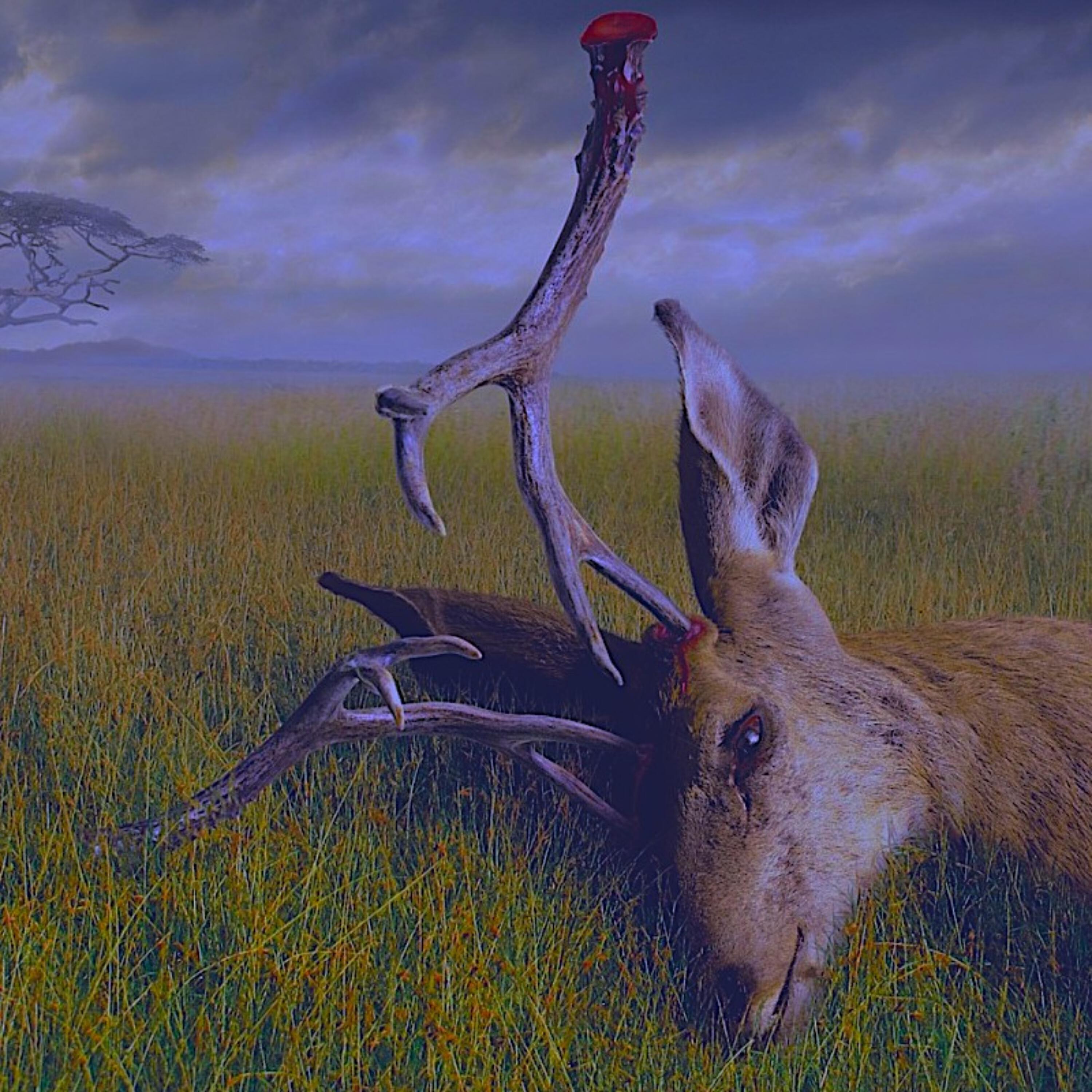 Релиз 神马玩意