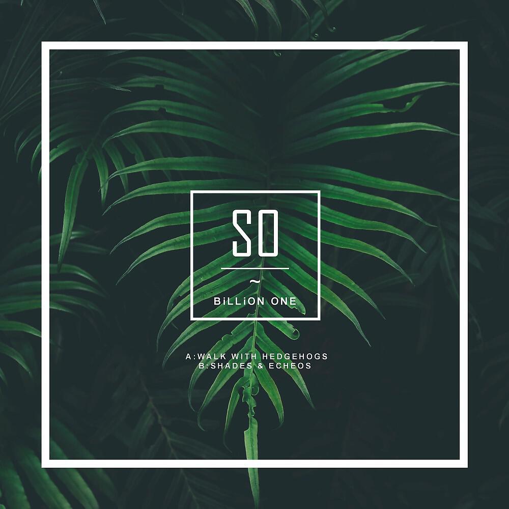 Релиз So