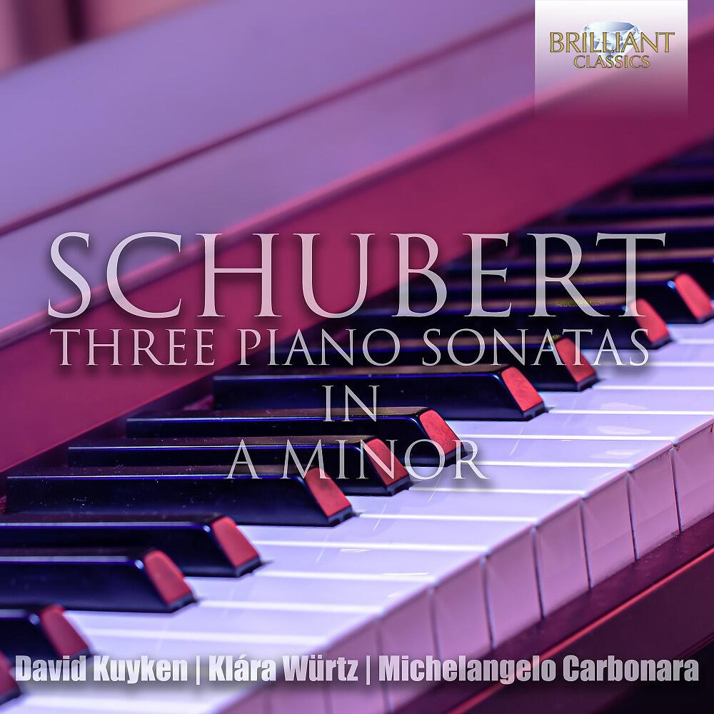 Релиз Schubert: The Three Piano Sonatas in A Minor
