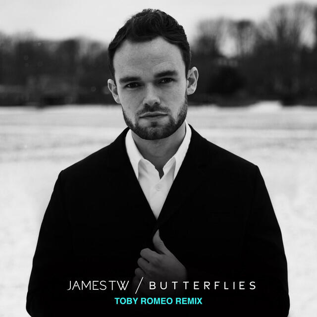 Релиз Butterflies (Toby Romeo Remix)