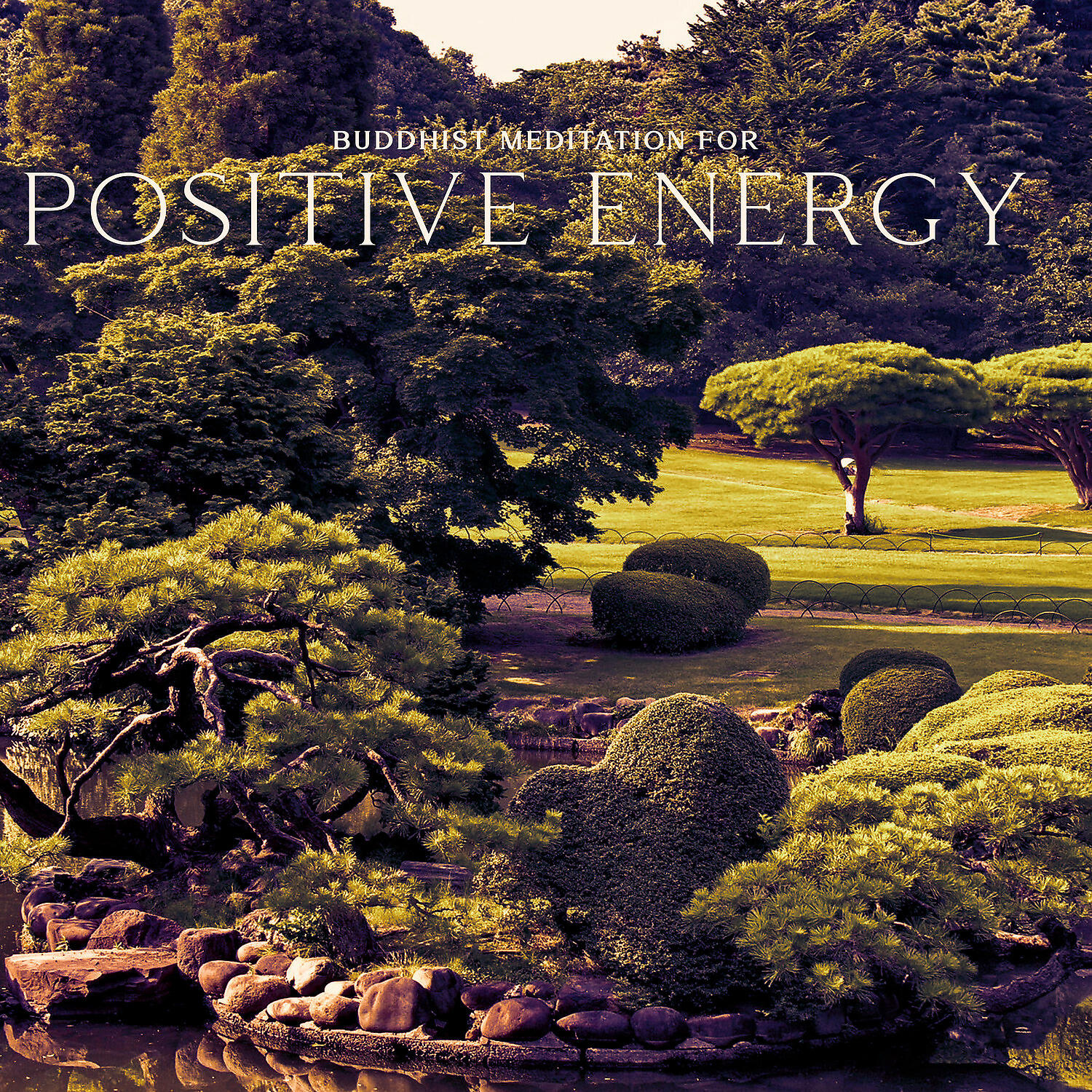 Релиз Buddhist Meditation for Positive Energy