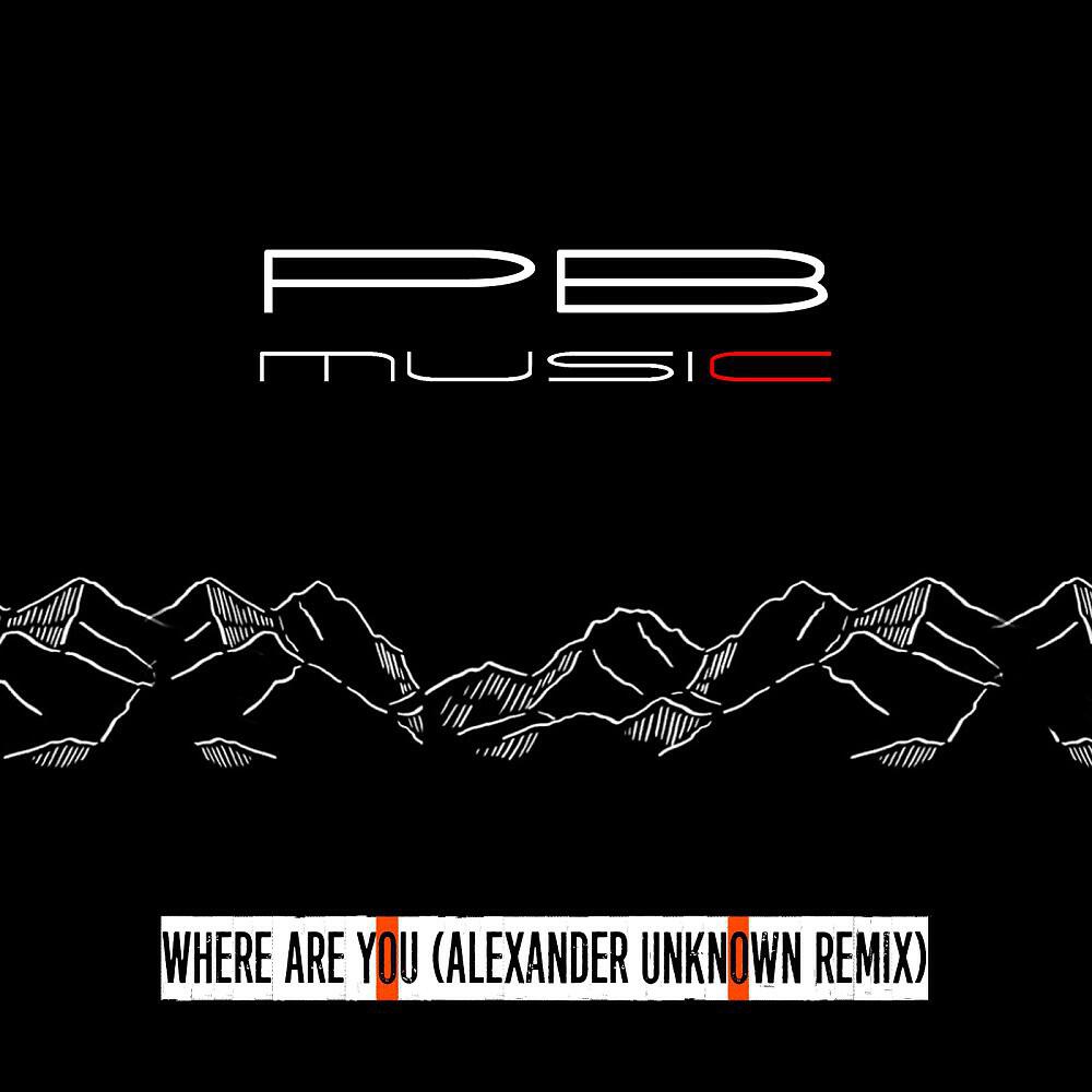 Постер альбома Where Are You (Alexander Unknown Remix)