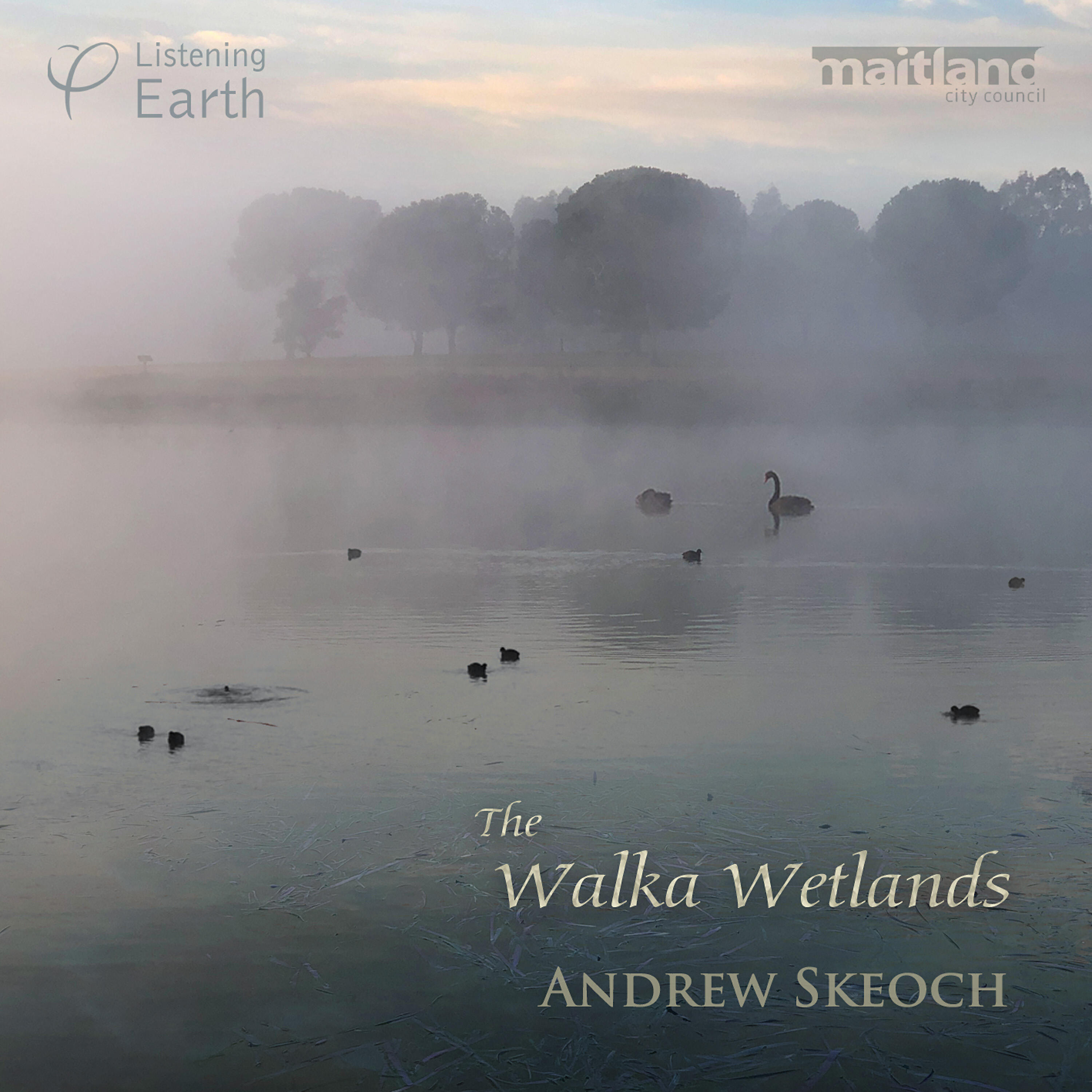 Релиз The Walka Wetlands