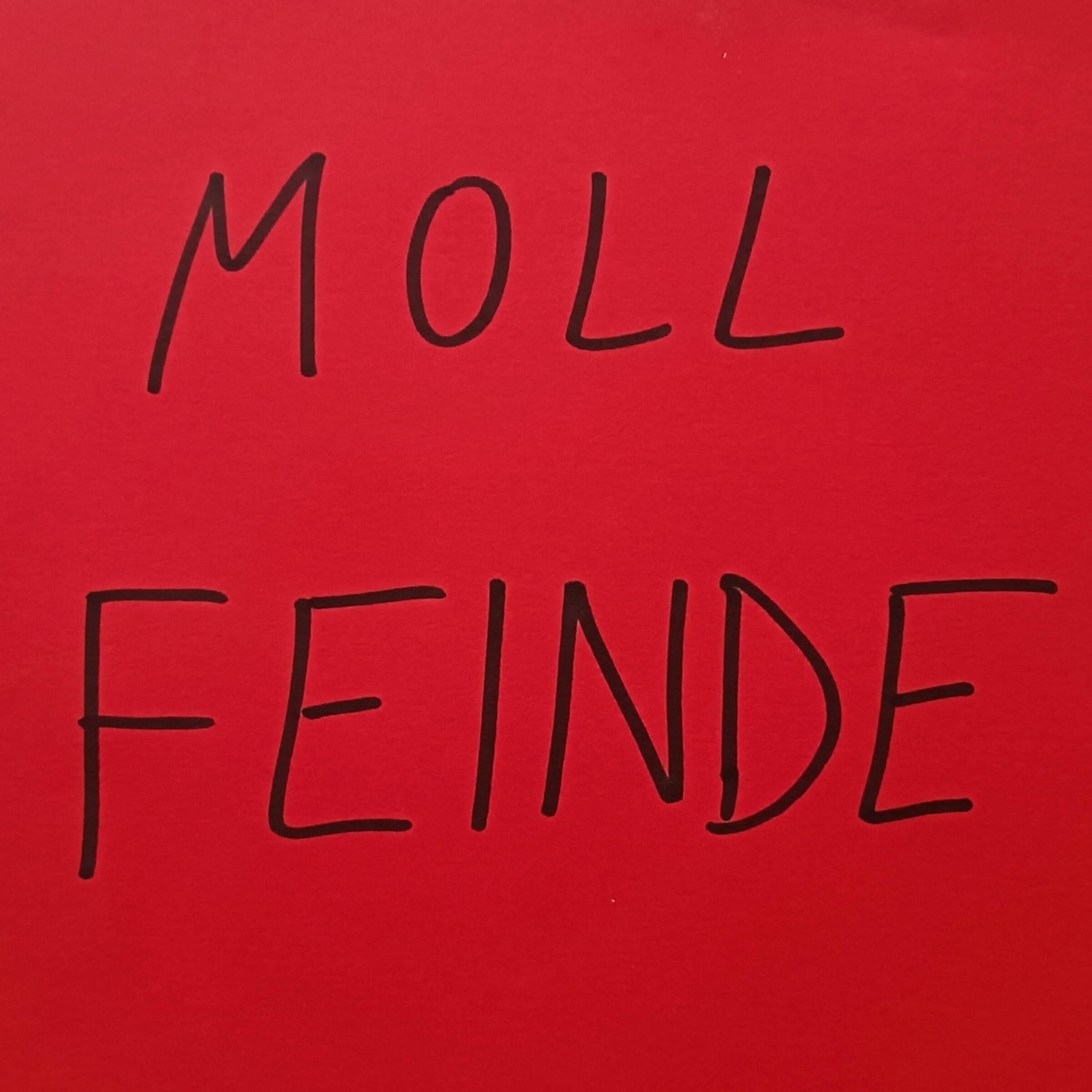 Релиз Feinde