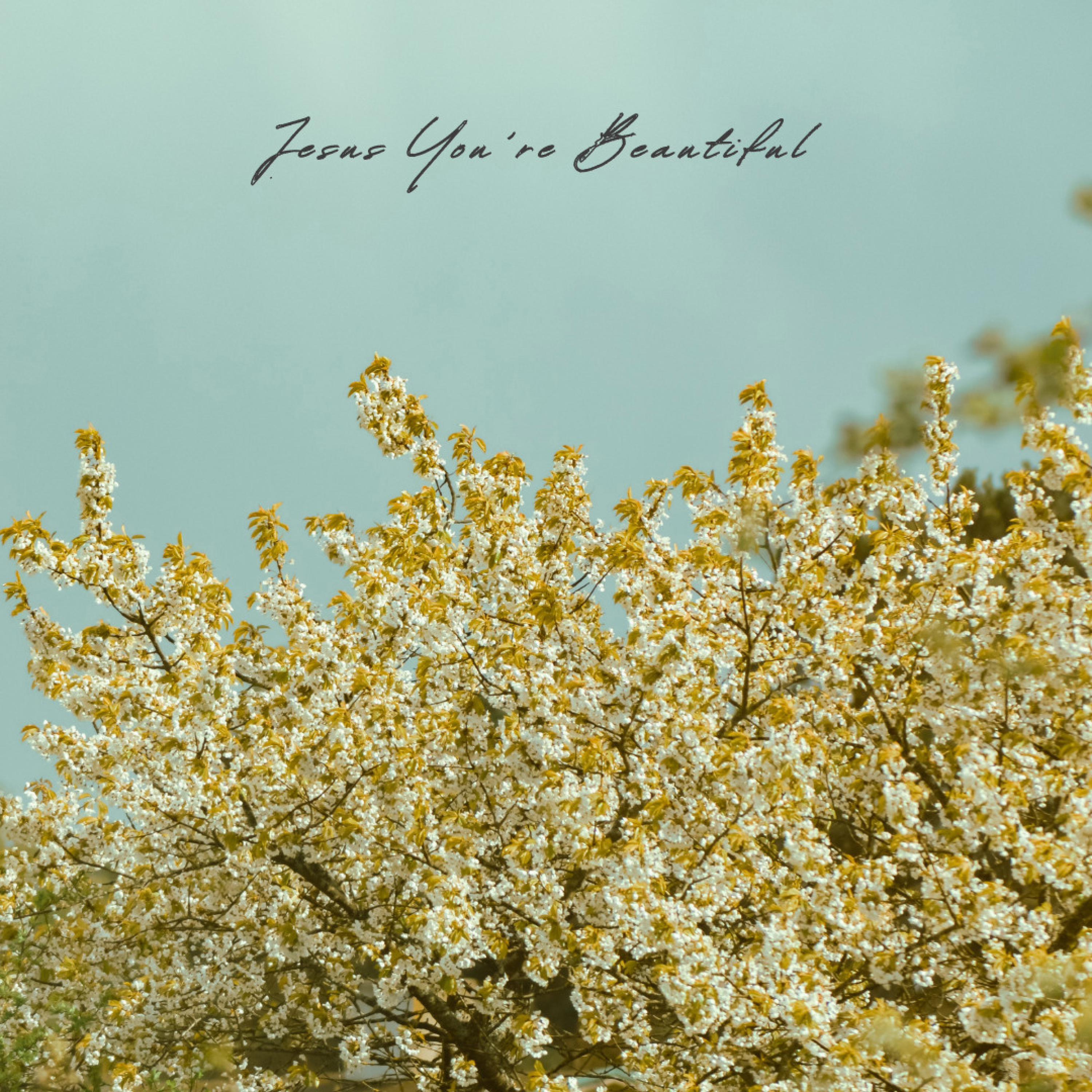 Релиз Jesus You're Beautiful